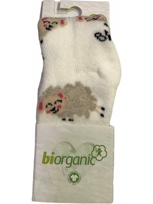 Bibaby  Çorap Külotlu Havlu Kuzulu Ekru