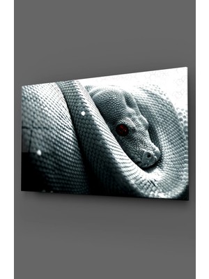 Taulart Kırmızı Gözlü Yılan Cam Tablo