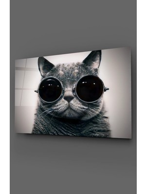 Taulart Gözlüklü Kedi Ikonik Cam Tablo