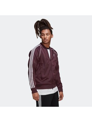 Adidas Erkek Günlük Eşofman Üstü Sst Tt P Blue HK7339