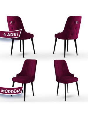 Canisa Concept Enoa Serisi  Babyface Kumaş Siyah Gürgen Ayaklı  4 Adet Sandalye Gümüş Halkalı