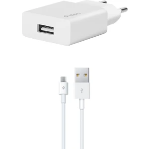 2.1A 10.5W Smart Charger Includes Micro-Usb Kablolu Hızlı Seyahat Şarj Seti