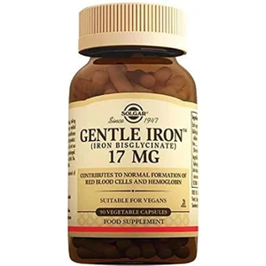 Gentle Iron 17 Mg 1 Paket(1 x 1 Stück)