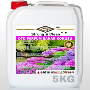 Strong & Clean Oto Parfüm Bahar Kokulu 5 kg