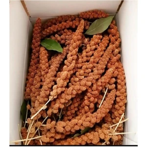 Kızıl Dal Darı 150 gr Taze Yeni Mahsül