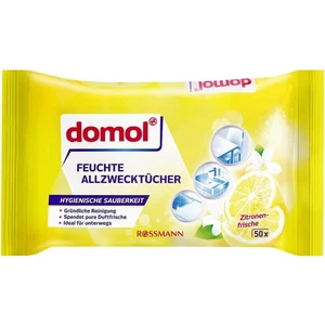 Islak Temizlik Bezi Çok Amaçlı, Limon Kokulu