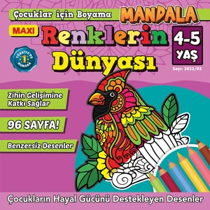 Renklerin Dünyası 2022/03 - Bertan Kodamanoğlu