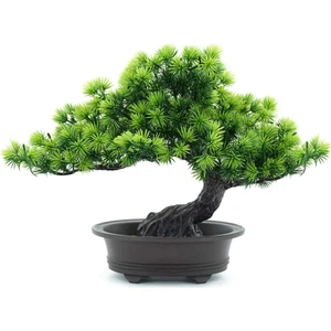 Ev Ofis Kapalı Dekor Için Yapay Japon Ardıç Bonsai Ağacı Yüksekliği 9.5 Inç (Yurt Dışından)