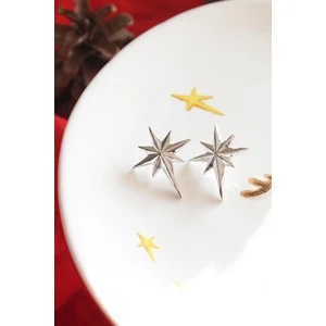 New Obsessions Northern Star Gümüş Rengi Küpe