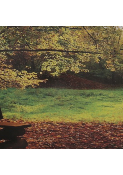Kağıt El Sanatları (Yurt Dışından)