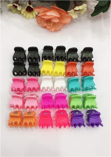 Renkli Küçük Tırmık Mandal Toka 30 Adet