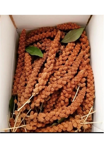 Kızıl Dal Darı 150 gr Taze Yeni Mahsül