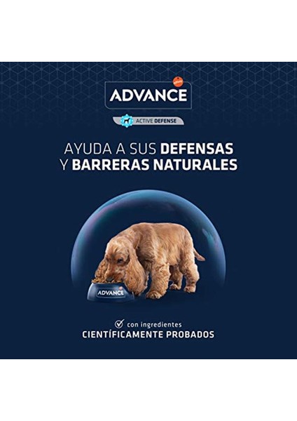 Yetişkin Kuzulu Pirinçli Köpek Maması, 12 kg fiyatları