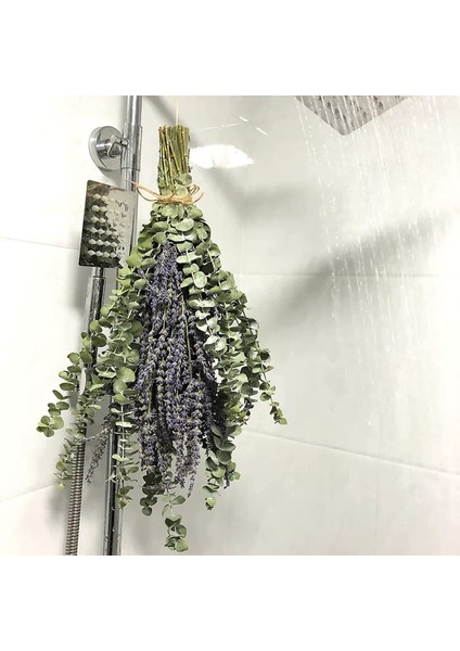 12 Adet Kurutulmuş Okaliptüs Dalları Yeşillik Sapları, 17 Inç 100% Gerçek Doğal Canlı Okaliptüs Yaprakları Bitki Yeşillik Dekor (Yurt Dışından) fiyatları