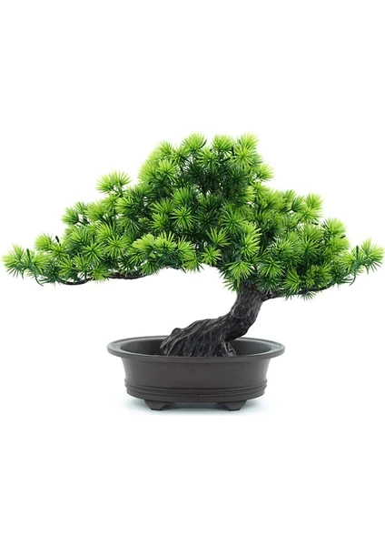 Ev Ofis Kapalı Dekor Için Yapay Japon Ardıç Bonsai Ağacı Yüksekliği 9.5 Inç (Yurt Dışından)