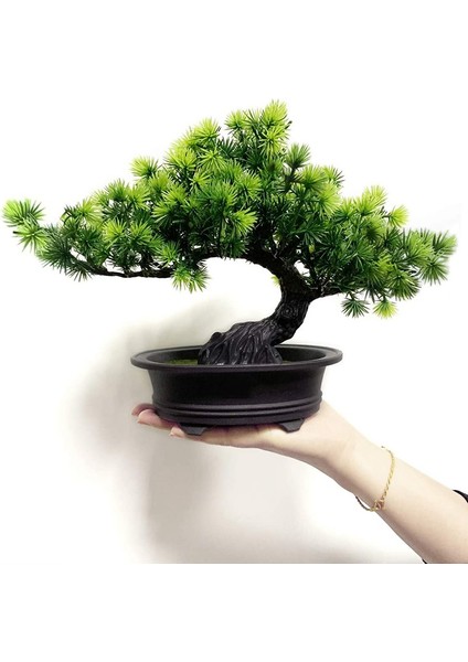 Ev Ofis Kapalı Dekor Için Yapay Japon Ardıç Bonsai Ağacı Yüksekliği 9.5 Inç (Yurt Dışından)