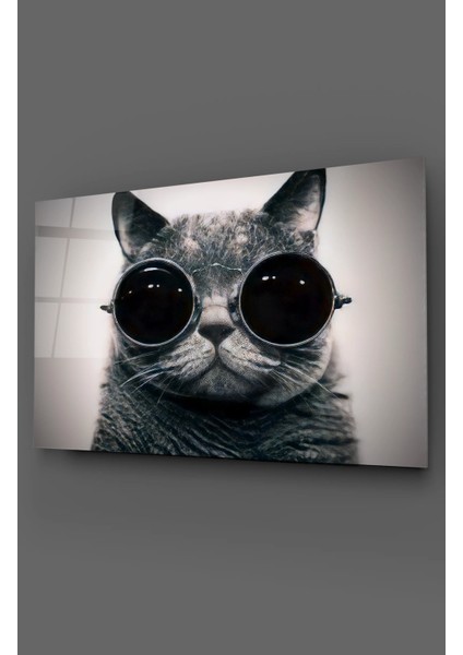 Gözlüklü Kedi Ikonik Cam Tablo