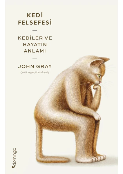 Kedi Felsefesi  Kediler ve Hayatın Anlamı  -  John Gray