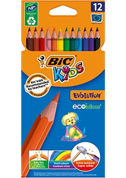Kids Evolution Kuru Boya Kalemi, 12'li Kutu