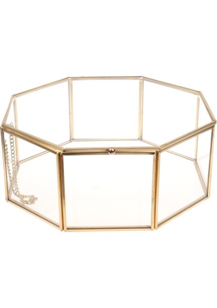 Berrak Cam Geometrik Teraryum Etli Bitkiler Kutu Pot 15.5X15.5X7.5 cm (Yurt Dışından)
