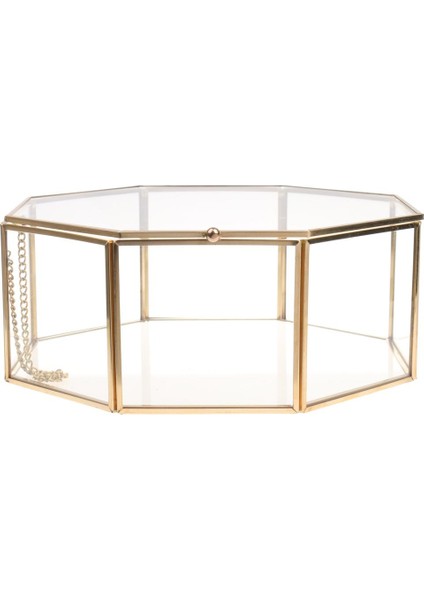 Berrak Cam Geometrik Teraryum Etli Bitkiler Kutu Pot 15.5X15.5X7.5 cm (Yurt Dışından)