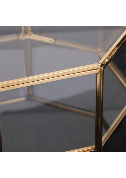 Berrak Cam Geometrik Teraryum Etli Bitkiler Kutu Pot 15.5X15.5X7.5 cm (Yurt Dışından)