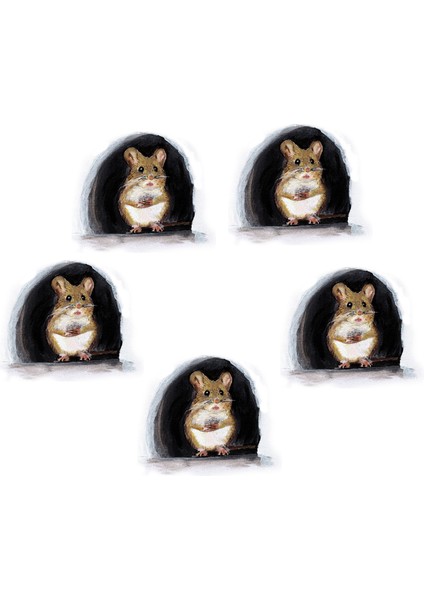 5 Pack Fareler Deliği Çıkartmaları Duvar Merdiveni Çıkarılabilir Rt Çıkartma Çocuk Odası A (Yurt Dışından)