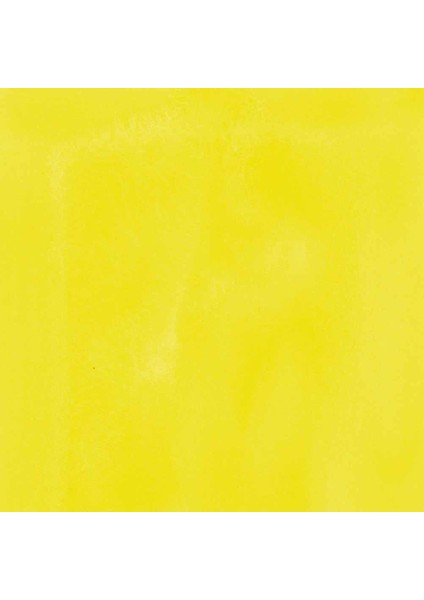 Professional Akrilik Mürekkep 30ML Bismuth Yellow 155