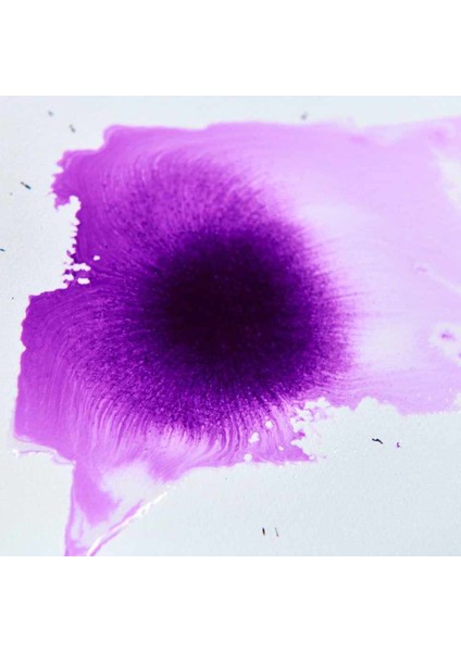 Professional Akrilik Mürekkep 30ML Sepia 609 modelleri