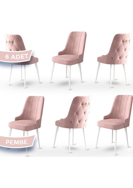 Concept Enoa Serisi Babyface Kumaş Sandalye Beyaz Gürgen Ayaklı 6 Adet Sandalye Gold Halkalı