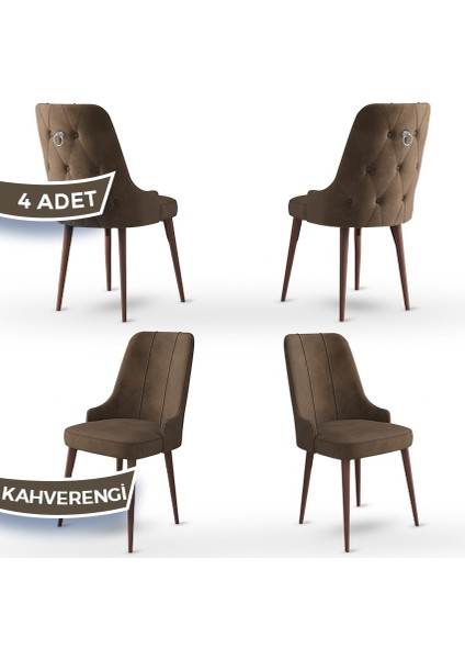 Concept Enoa Serisi Babyface Kumaş Ceviz Gürgen Ayaklı4 Adet Sandalye Gümüş Halkalı