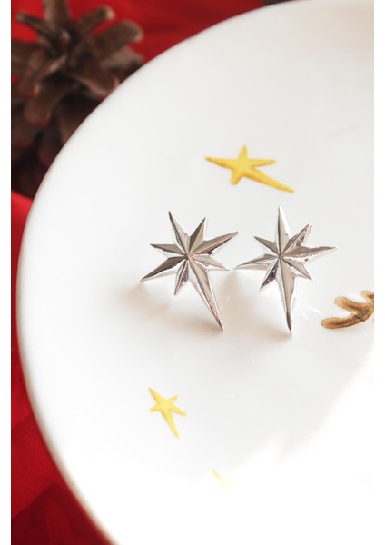 Northern Star Gümüş Rengi Küpe
