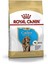 Royal Canin Cocker Junior, 3 kg 1