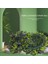 Yapay Mor Lavanta Asılı Topiary Topu Çiçek Bitki Dekor Sepet Pot 30 cm (Yurt Dışından) 2
