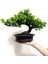 Ev Ofis Kapalı Dekor Için Yapay Japon Ardıç Bonsai Ağacı Yüksekliği 9.5 Inç (Yurt Dışından) 5