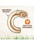 Delights Rings 4