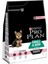 Small & Mini Puppy Somonlu Yavru Köpek Maması 3 kg 1