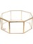 Berrak Cam Geometrik Teraryum Etli Bitkiler Kutu Pot 15.5X15.5X7.5 cm (Yurt Dışından) 1