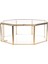 Berrak Cam Geometrik Teraryum Etli Bitkiler Kutu Pot 15.5X15.5X7.5 cm (Yurt Dışından) 2