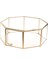 Berrak Cam Geometrik Teraryum Etli Bitkiler Kutu Pot 15.5X15.5X7.5 cm (Yurt Dışından) 4