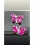 Zhn-2li Kristal Yusufcuk Pembe 3