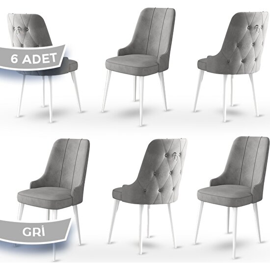 Canisa Concept Enoa Serisi  Babyface Kumaş Sandalye Beyaz Gürgen Ayaklı  6 Adet Sandalye Gümüş Halkalı
