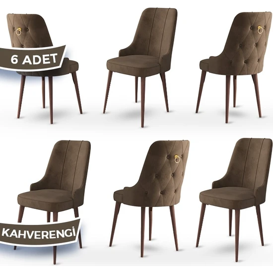 Canisa Concept Enoa Serisi  Babyface Kumaş Ceviz Gürgen Ayaklı 6 Adet Sandalye Gold Halkalı