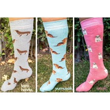 Ciho Socks Daily 3 Çift Kadın Tam Havlu Yumuşak Diz Altı Köpek Desen Renkli Kışlık Çorap