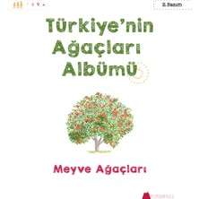 Türkiye'nin Ağaçları Albümü Seti 4 Kitap