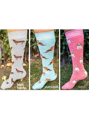 Ciho Socks Daily 3 Çift Kadın Tam Havlu Yumuşak Diz Altı Köpek Desen Renkli Kışlık Çorap