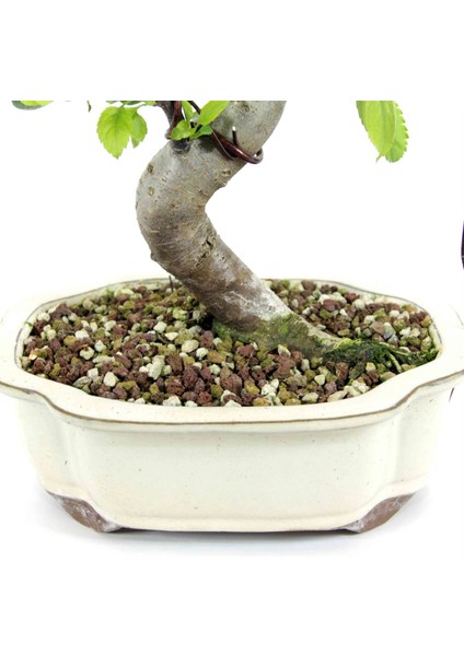 Akadamalı Süper Karışım Bonsai Toprağı TK01 (5 Litre)