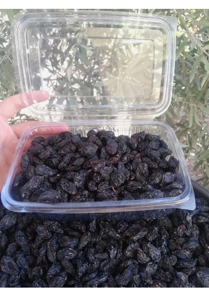 Antep Karası Kuru Üzüm 1 kg fırsatları