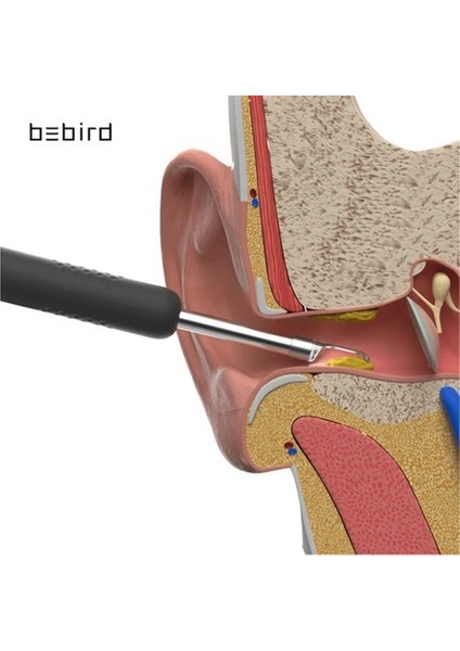 Bebırd R1 Akıllı Görüntülü Kulak Içi Temizleyici Kablosuz Kameralı Kulak Otoskop temizleyici