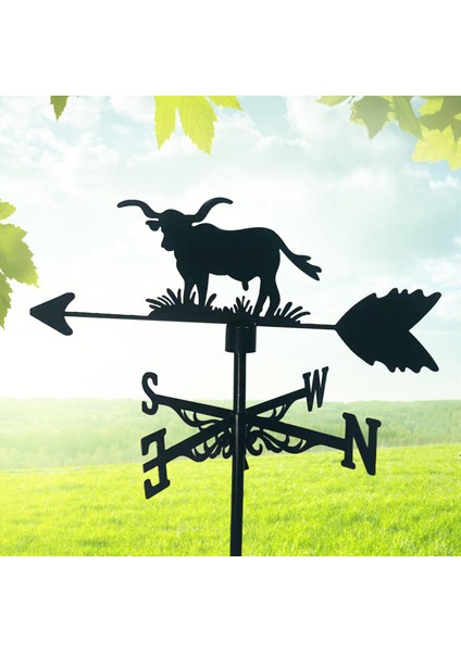 Weathervane Partisi Çatı Mounta Dış Mekan Süs (Yurt Dışından)